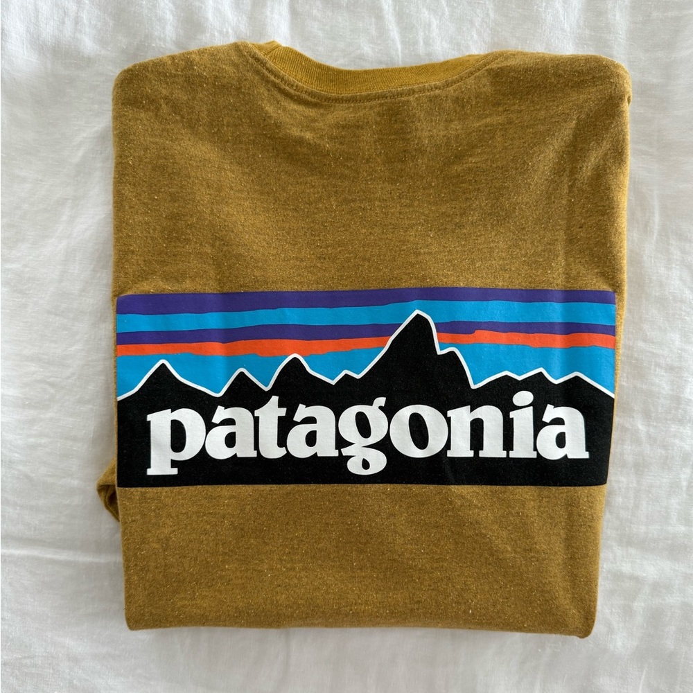Patagonia Responsibili-tee